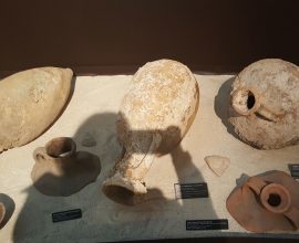 Museo de Antropología Prehistórica